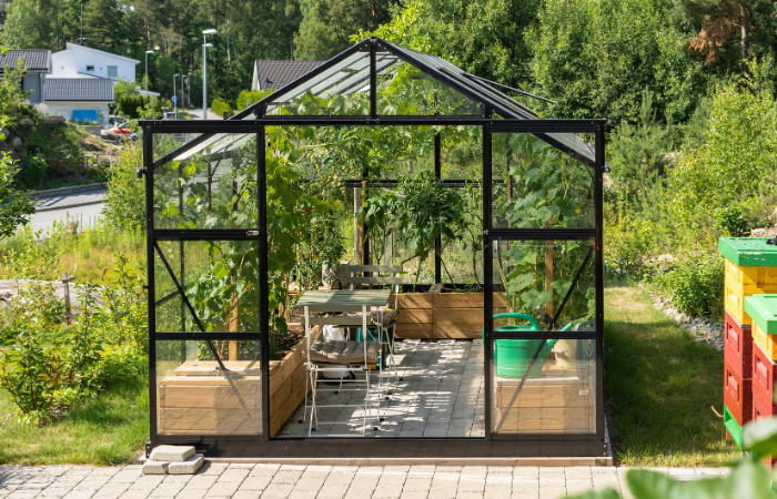 Ogr&oacute;d warzywny w szklani ogrodowej na podw&oacute;rzu w pobliżu willi. Doniczki z zielonymi warzywami do jedzenia.