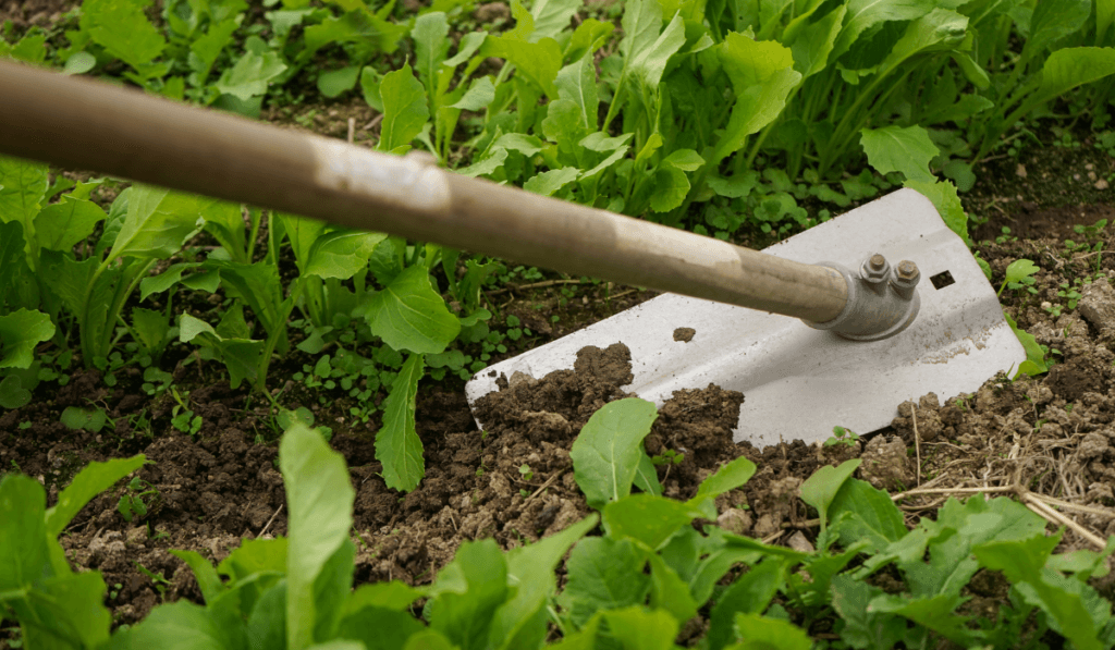 narzędzie ogrodnicze w ziemi