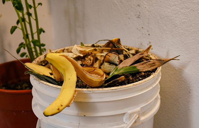 kompostownik ze sk&oacute;rkami o banana