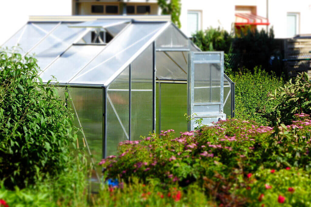 Szklarnia w ogrodzie pośr&oacute;d zieleni