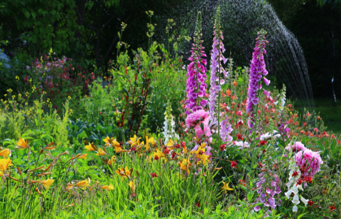 Ogr&oacute;d z kolorowymi roślinami wielosezonowymi 