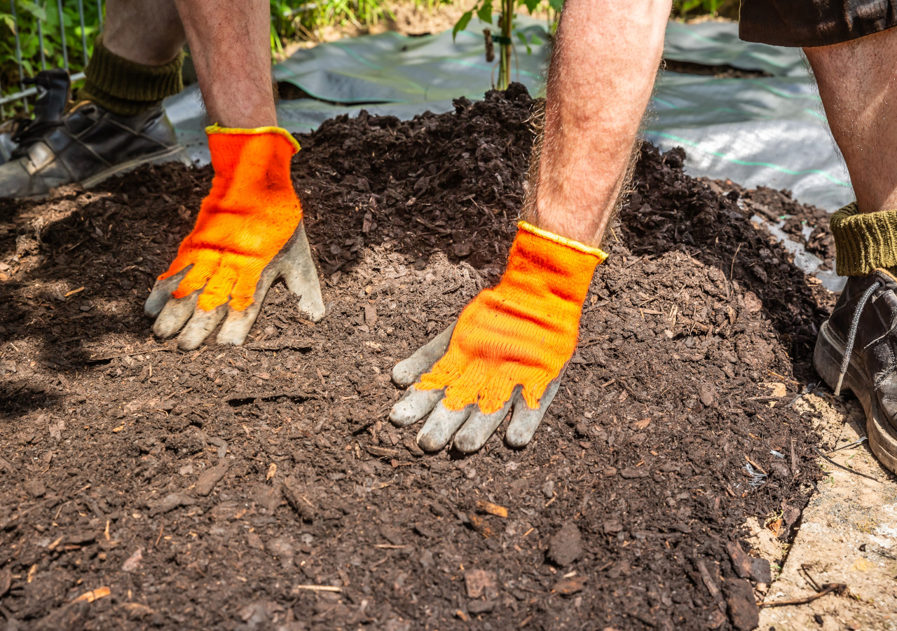 Ogrodnik w pomarańczowych rękawicach ochronnych rozprowadza warstwę kory ogrodowej na rabacie