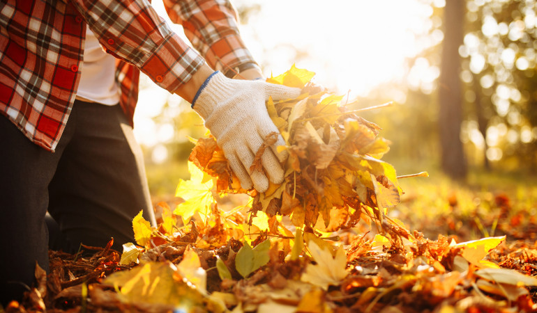 Ogrodnik z liścmi w dłoni