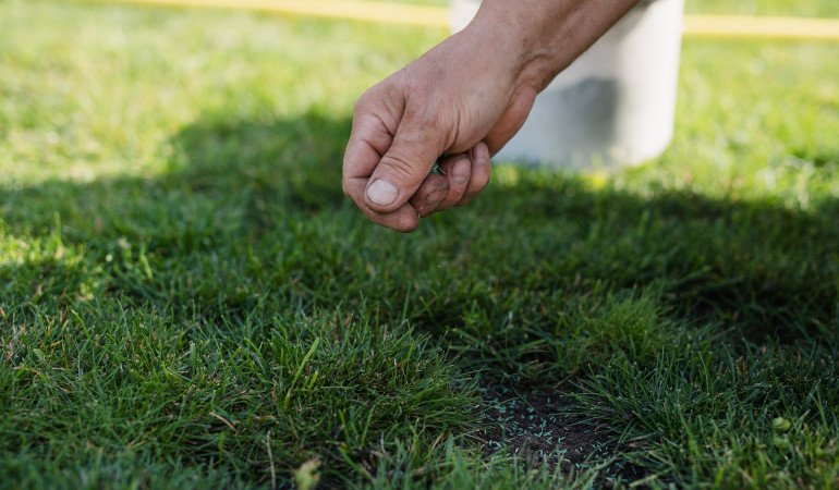 Mężczyzna dba o trawnik