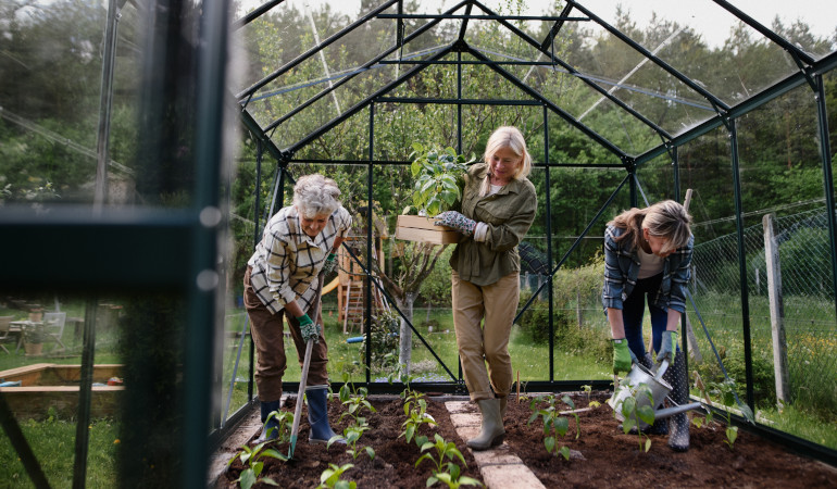Trzy kobiety organizują przestrzeń w szklarni dbając o rośliny, podlewając i umieszczają je w odpowiednich miejscach