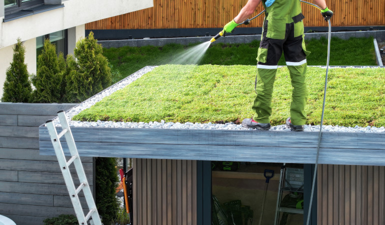 Mężczyzna podlewa trawę rozprowadzoną na dachu domu