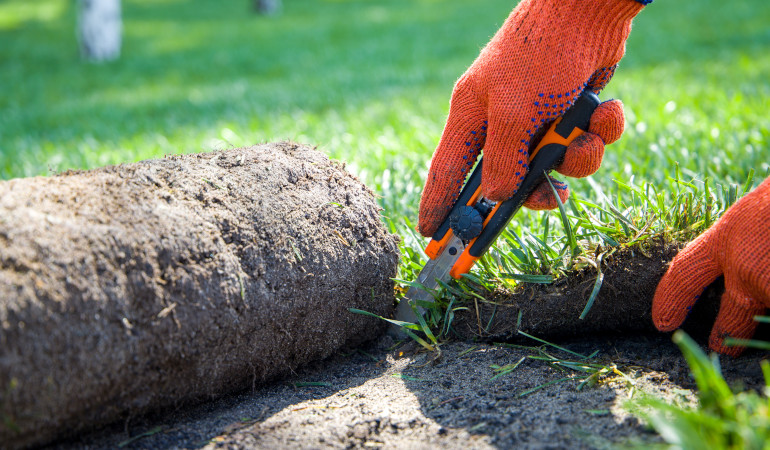 Mężczyzna przycina trawnik w czerwonych rękawiczkach
