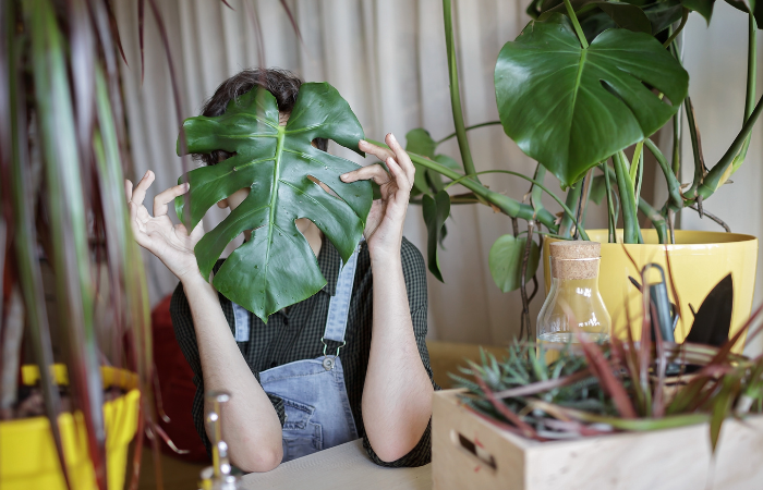 kobieta relaksujaca sie wród roslin oczyszczajacych powietrze