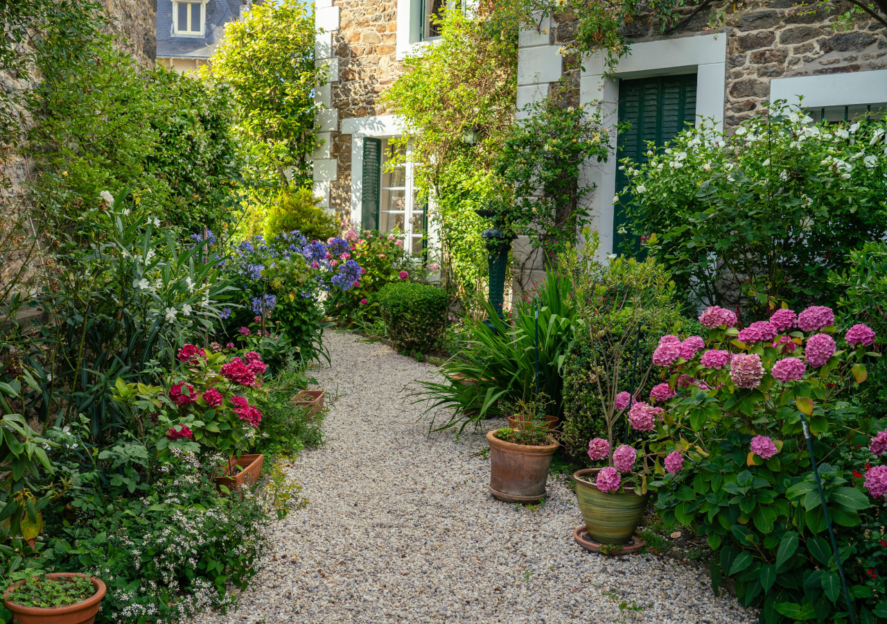 Ścieżka ogrodu w stylu brytyjskim okraszona krzakami kwiat&oacute;w r&oacute;ż