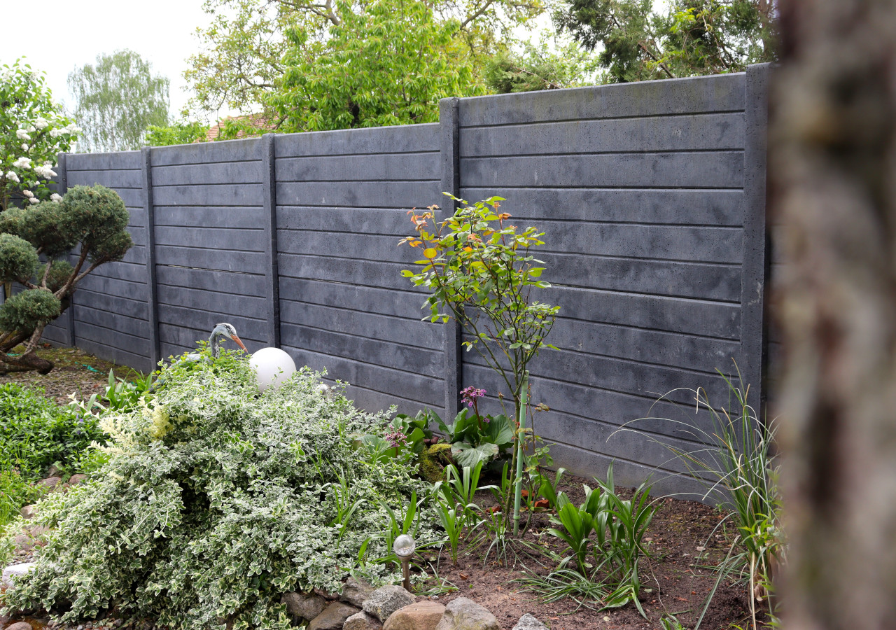 Szary płot wokół niego zieleń