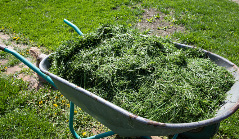 Taczka wypełniona trawą