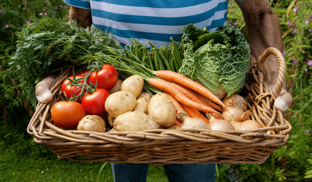 Mężczyzna trzyma warzywa w koszu 