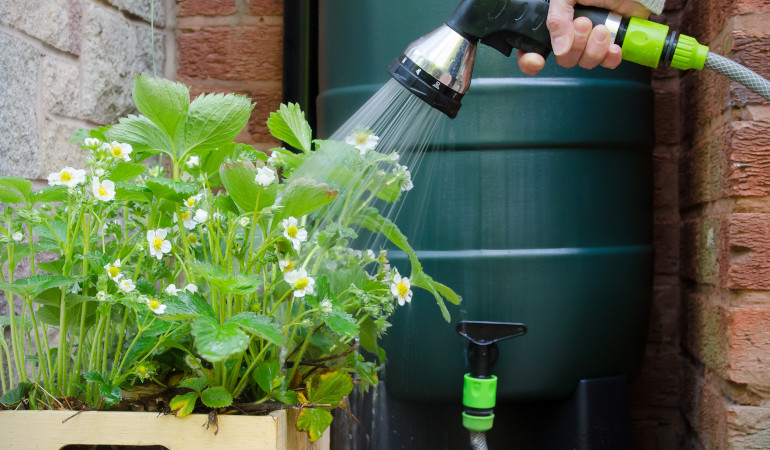 Podlewanie roślin woda z deszcz&oacute;wką 