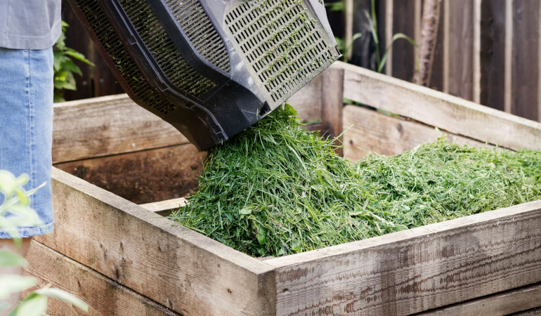 Wysypywanie skoszonej trawy na kompostnik