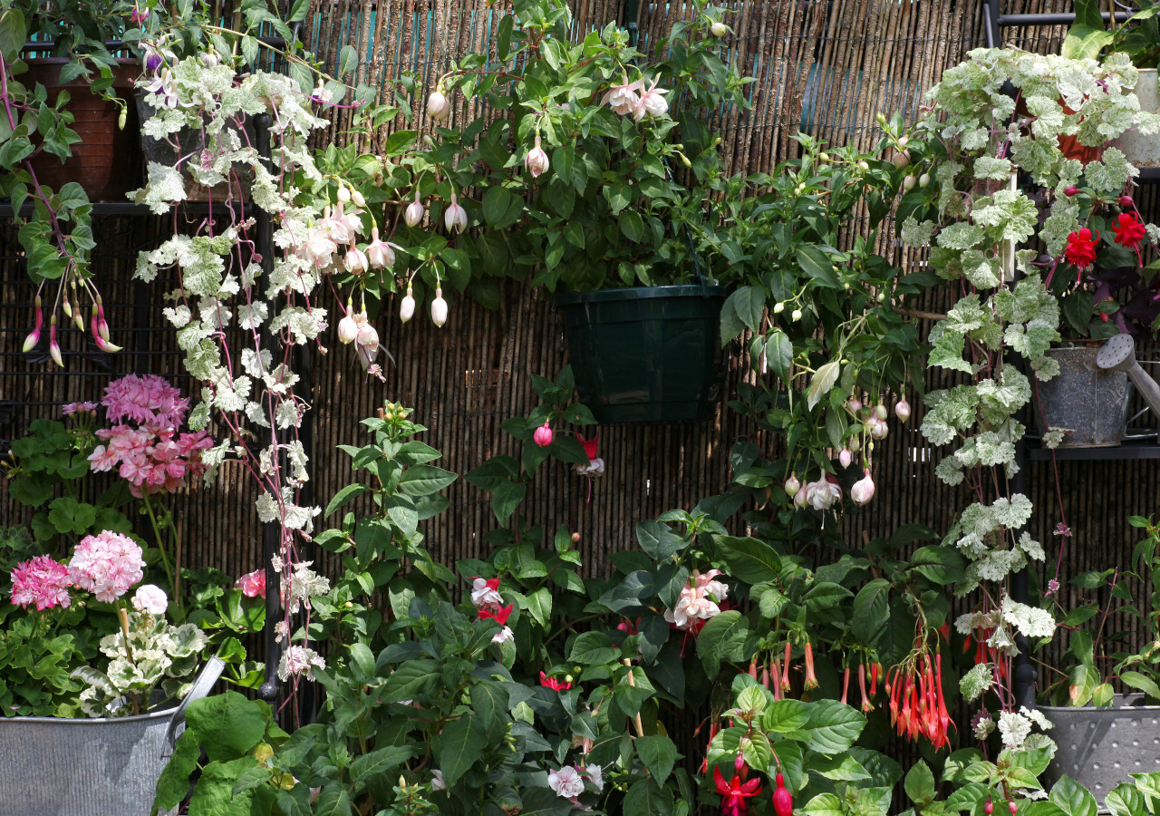 Płot przyozdobiony zielonymi roślinami